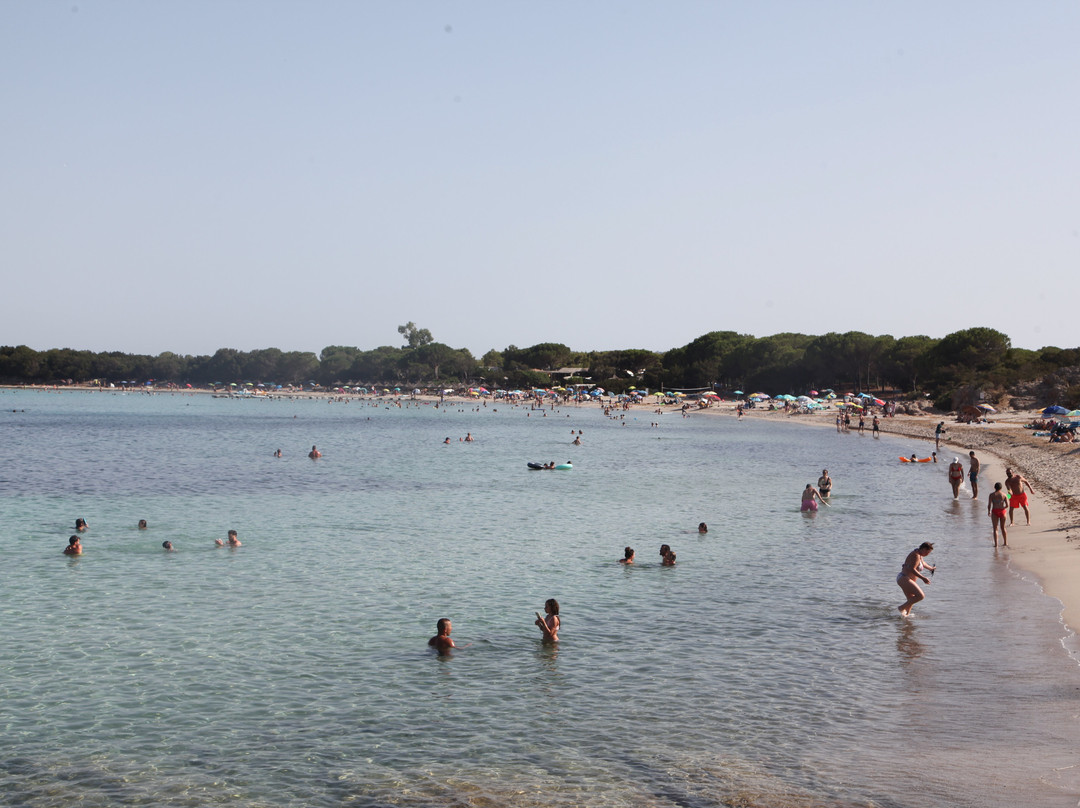 Plage de Rondinara-博尼法乔必去景点