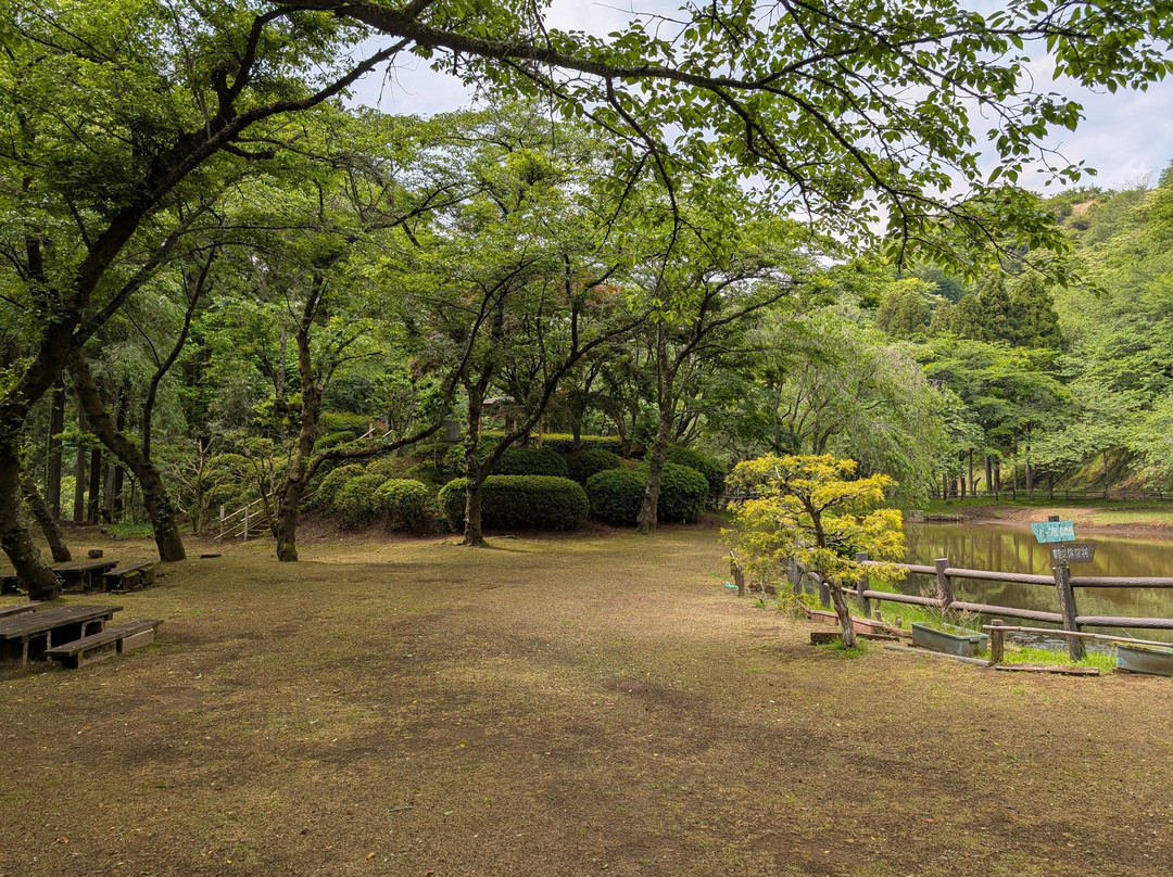 Saimyoji Temple Historic Park-松田町必去景点