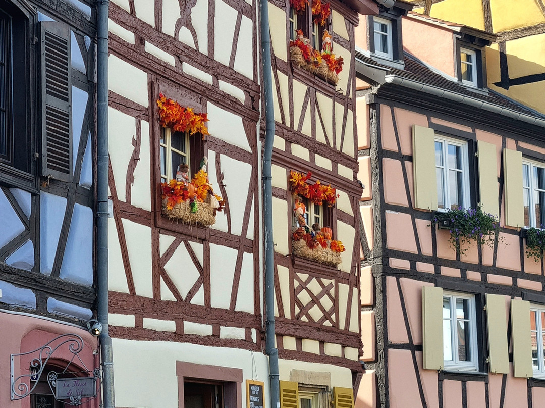 Swiss Private Tour-苏黎世必去景点