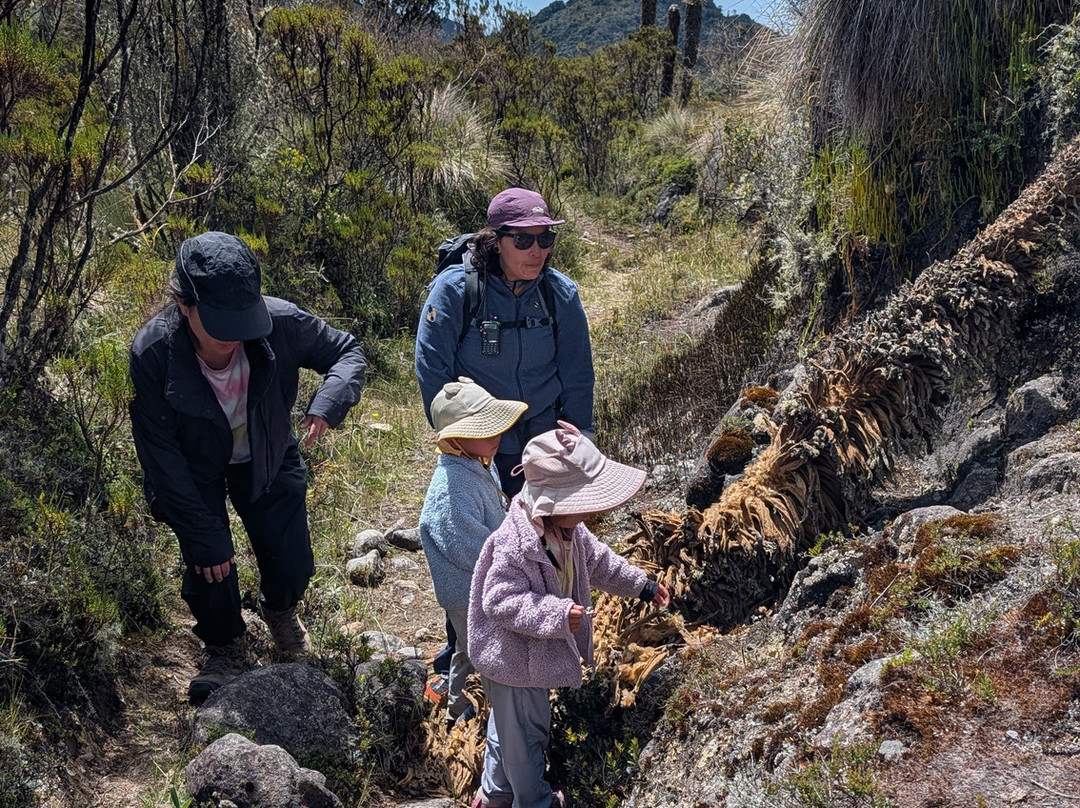 Paramo Trek Salento-萨伦托必去景点