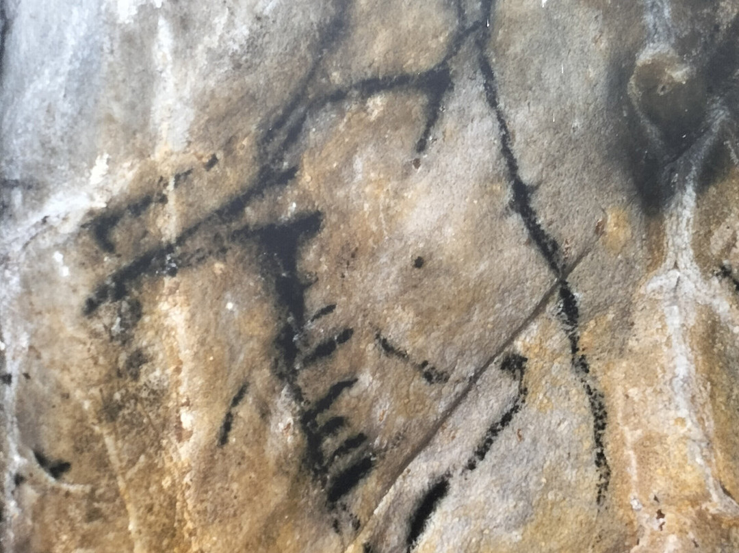 Cave of El Castillo-Puente Viesgo必去景点