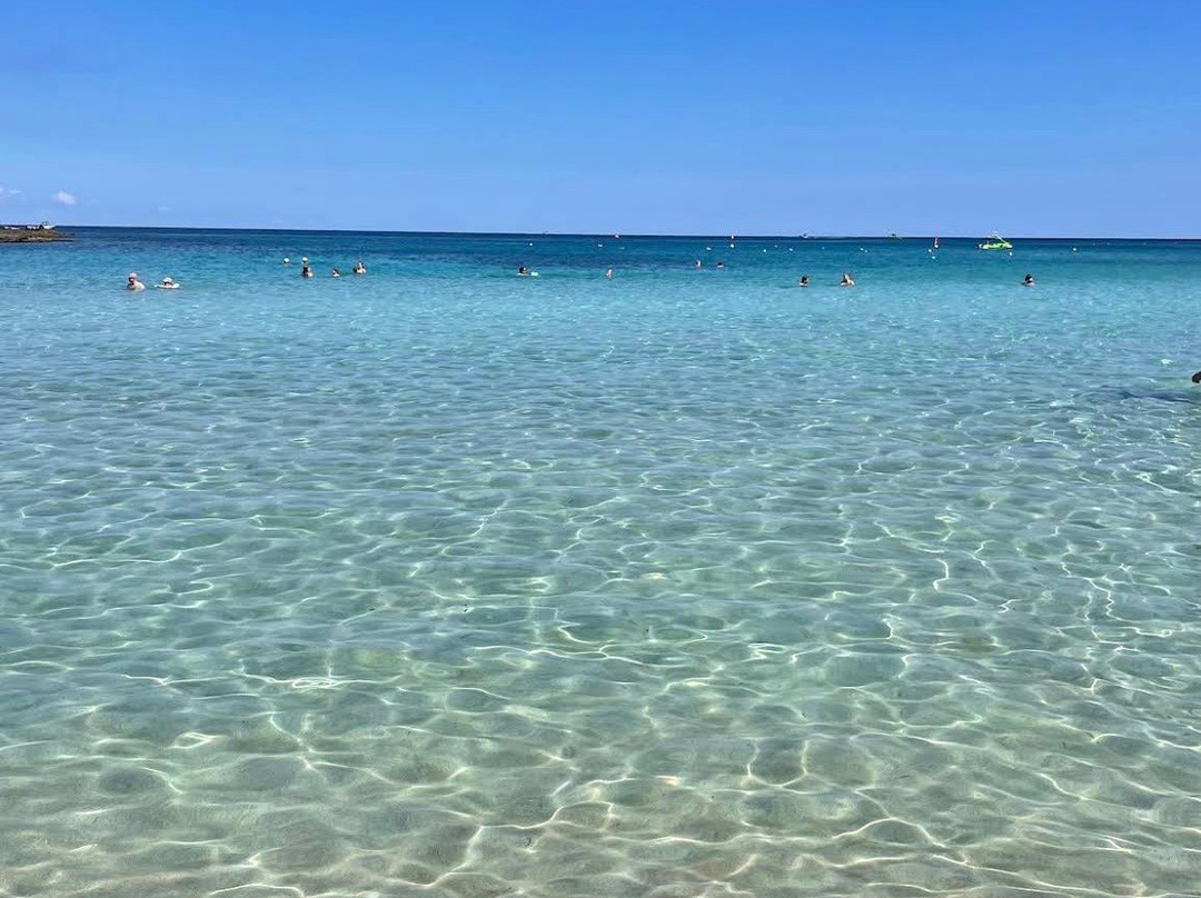 Fig Tree Bay Beach-普它肋斯必去景点