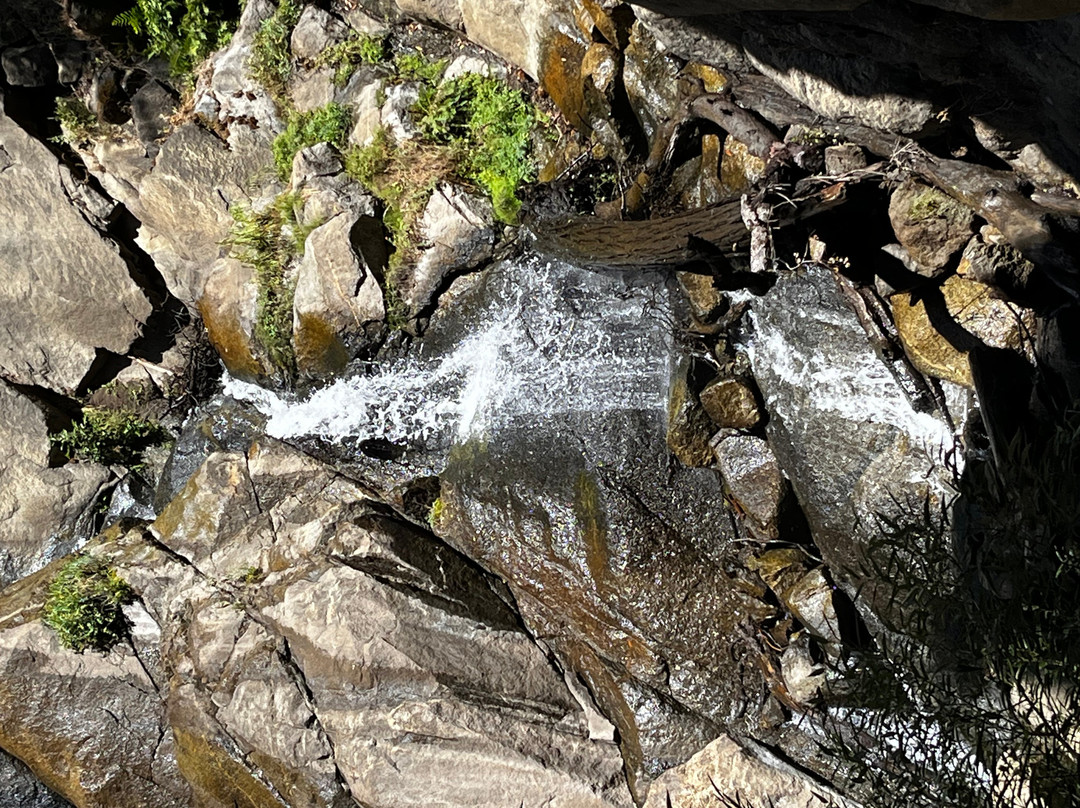 Grizzly Falls-红杉&国王峡谷国家公园必去景点