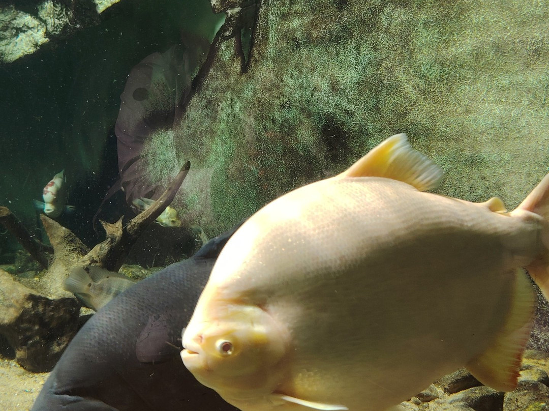 Grand Aquarium-圣马洛必去景点