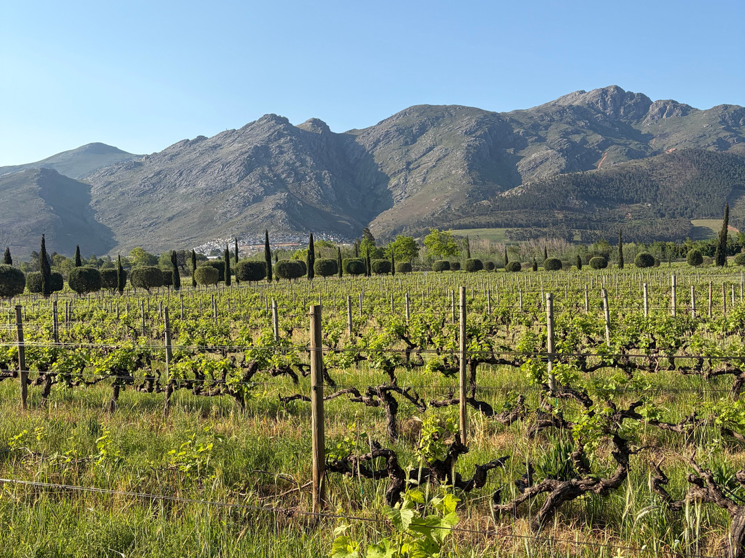 Franschhoek Wine Tram-法兰舒克必去景点