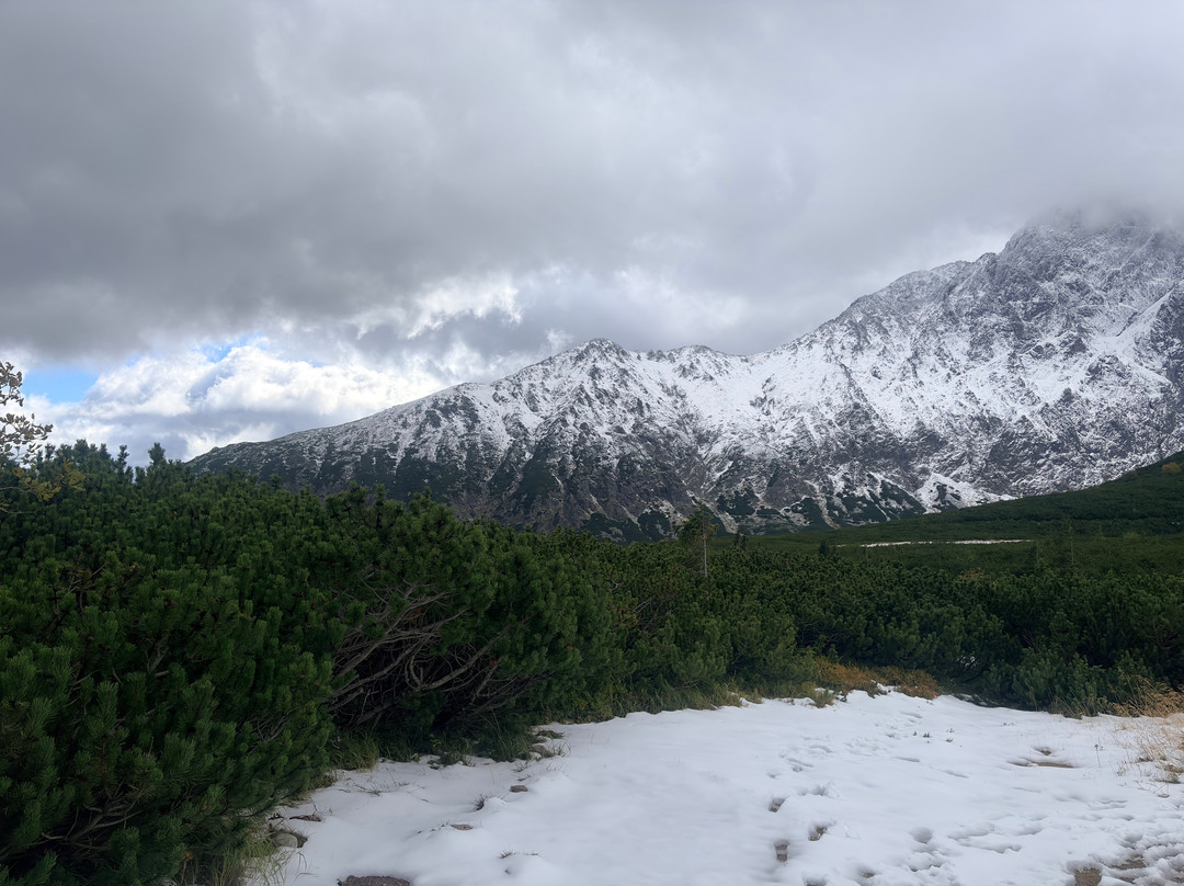 Adventurous Ewe-Whitehaven必去景点