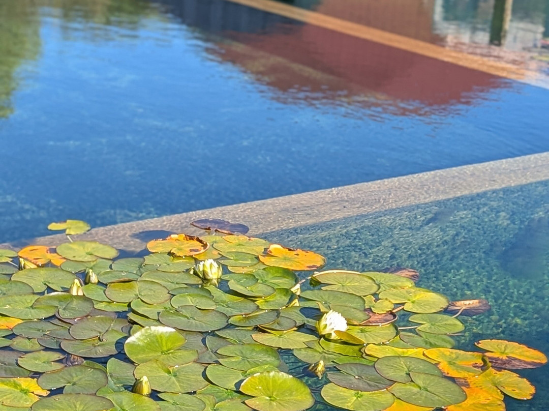 Yorkshire Spa Retreat主图