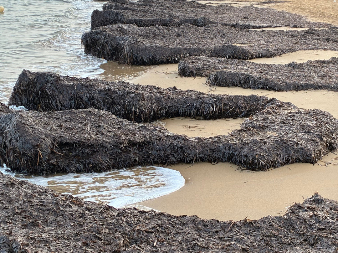 Agios Stefanos Beach-Agios Stefanos必去景点