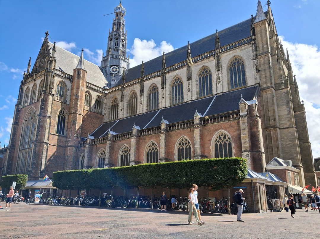 Sint-Bavokerk (Church of St. Bavo)-哈勒姆必去景点