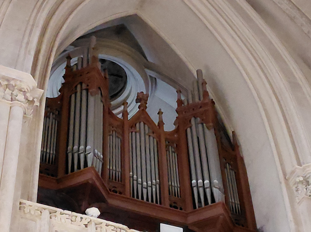 Cathedral Basilica Of Our Lady Of Mercy-Mercedes必去景点