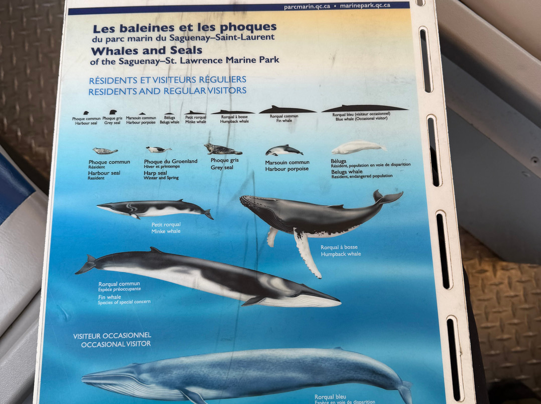Croisiere Escoumins-Les Escoumins必去景点