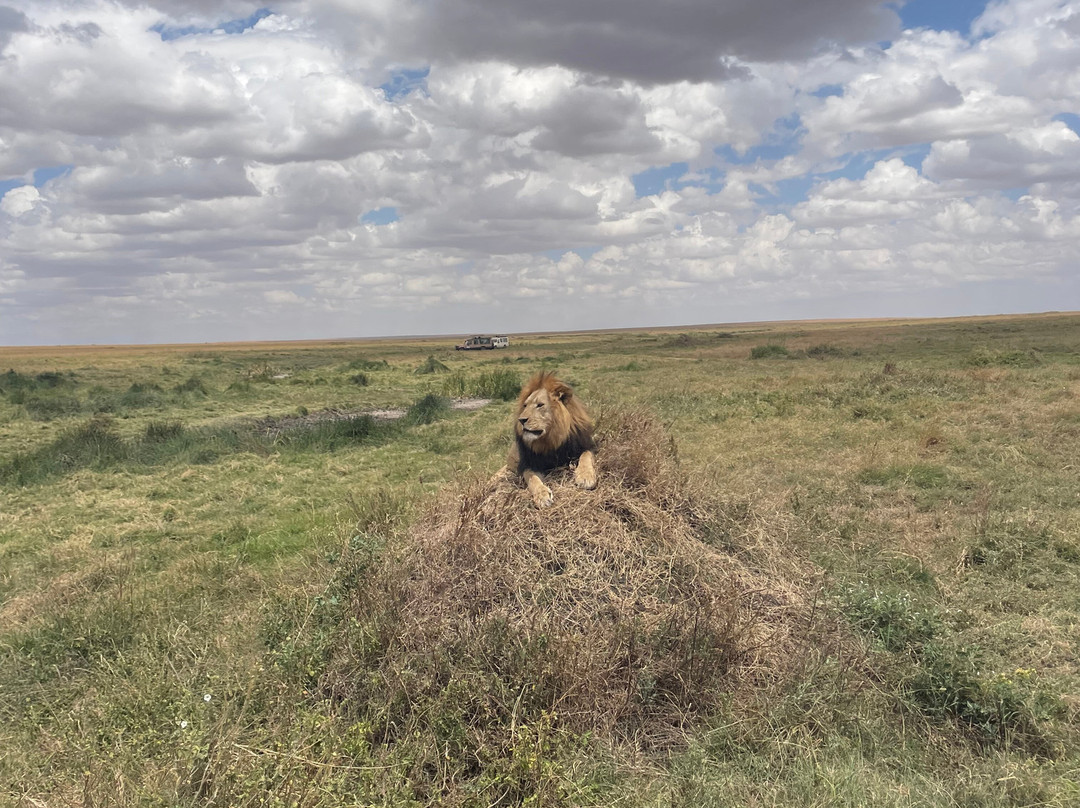 Unlimited Expeditions - The Soul Of Tanzania-阿鲁沙必去景点