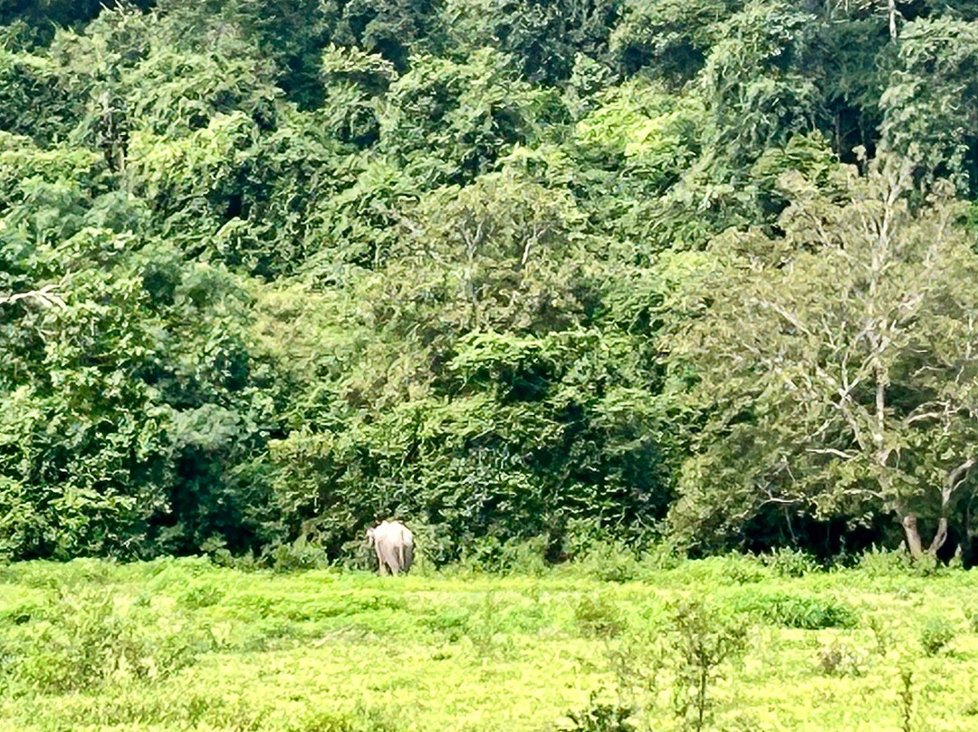 Kui Buri National Park-桂武里必去景点