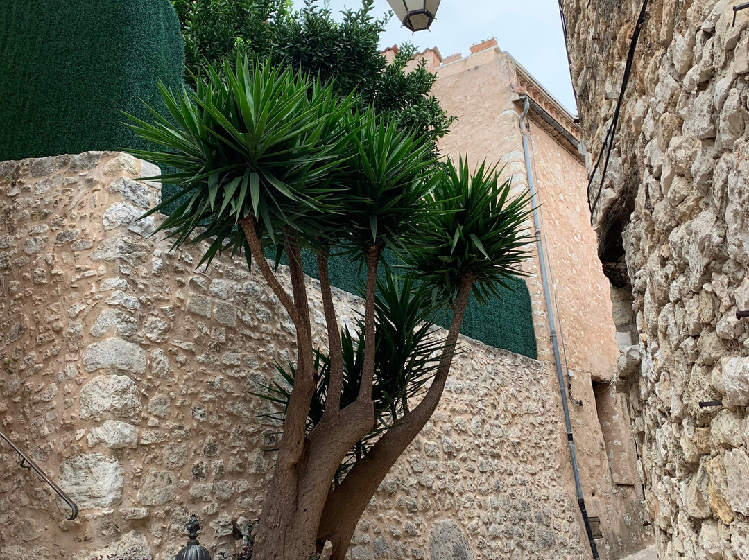 Tourrettes-sur-Loup - Village Medieval-Tourrettes-sur-Loup必去景点