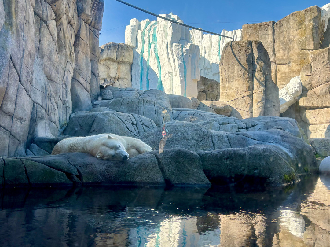 Tierpark Hagenbeck-汉堡必去景点