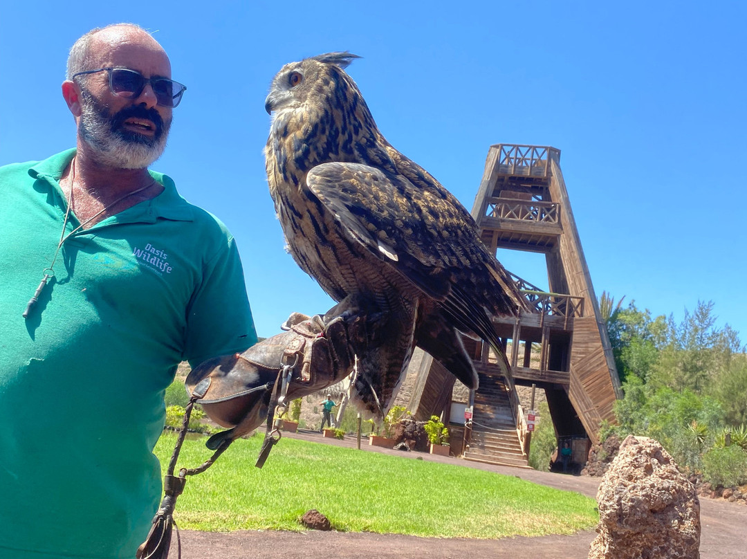 Oasis Park Fuerteventura-La Lajita必去景点