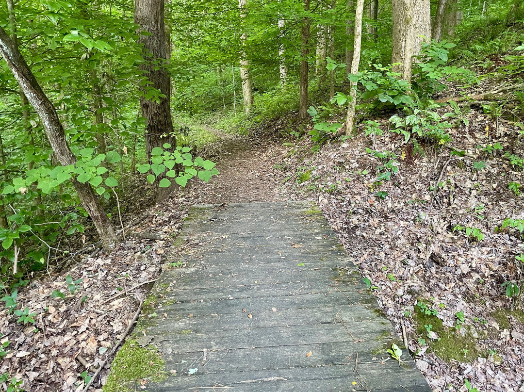 Edgar Evins State Park-Silver Point必去景点