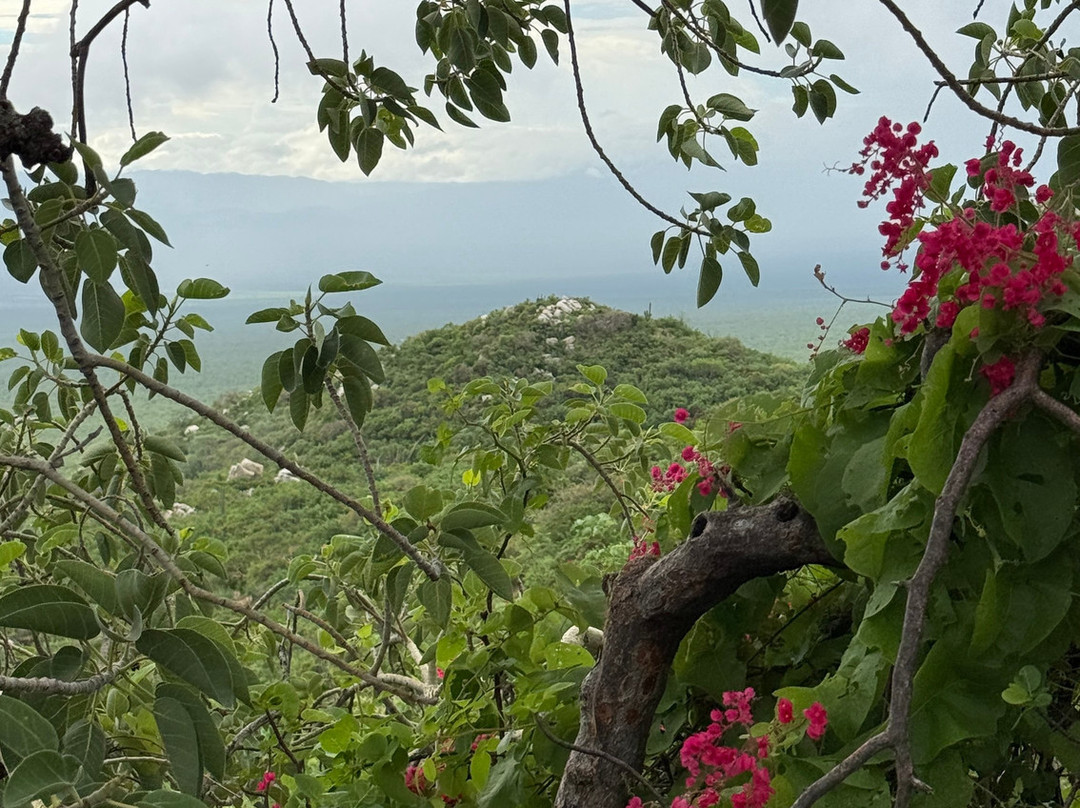 Rancho Cacachilas-El Sargento必去景点