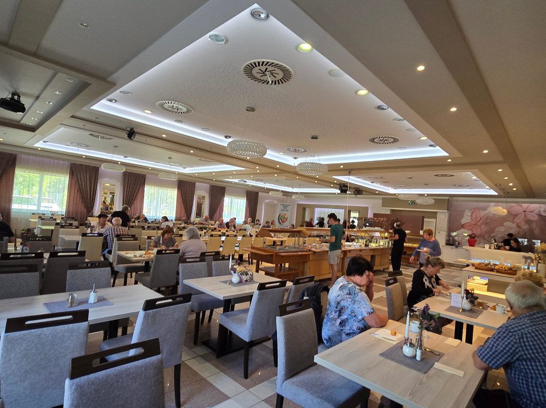 Hotel Thermal Varga主图
