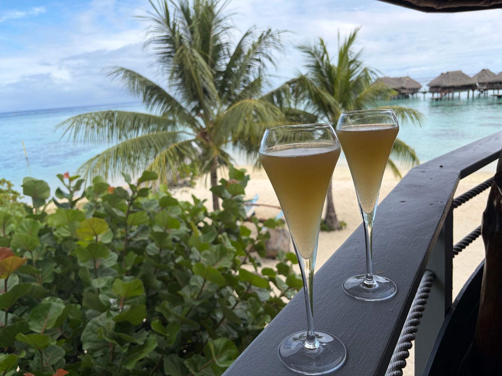 茉莉亚礁湖希尔顿度假酒店及水疗中心-旅行者