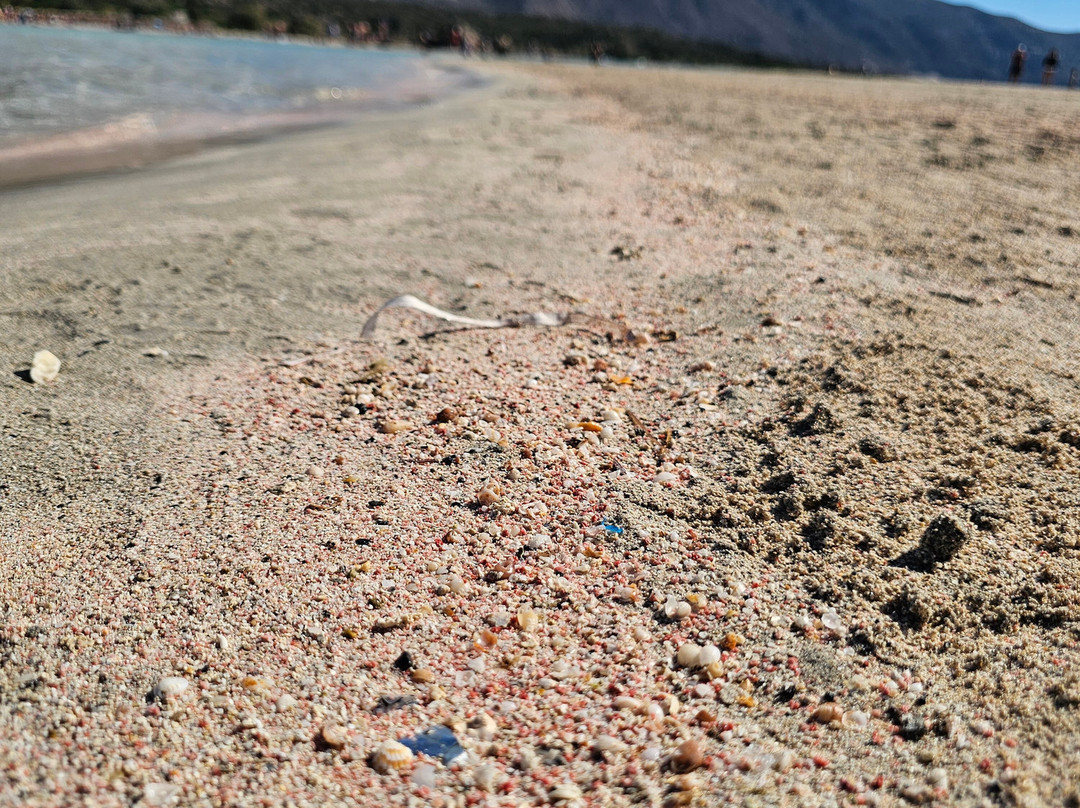 Elafonissi Beach-拉格尼西必去景点