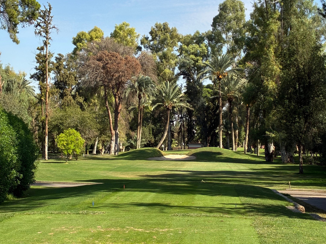 Royal Golf Marrakech-马拉喀什必去景点
