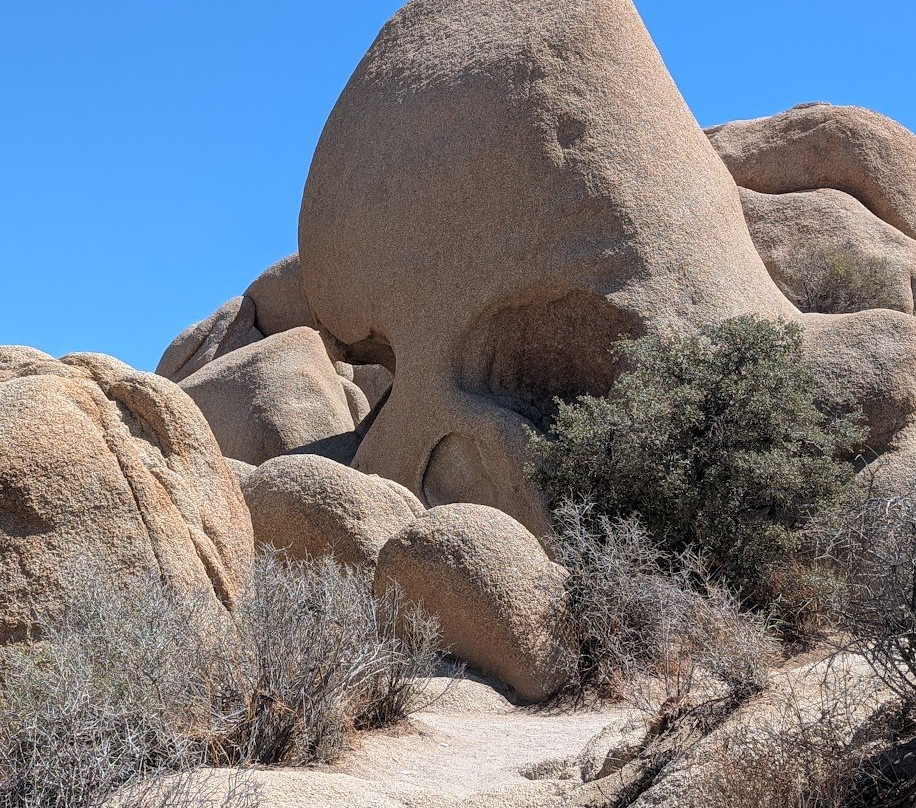 Joshua Tree National Park-约书亚树必去景点