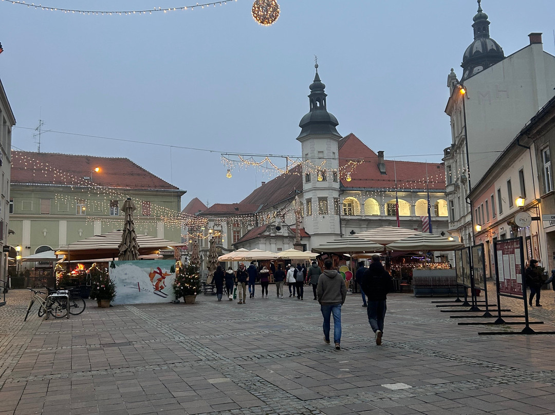 Main Square of Maribor-马里博尔必去景点