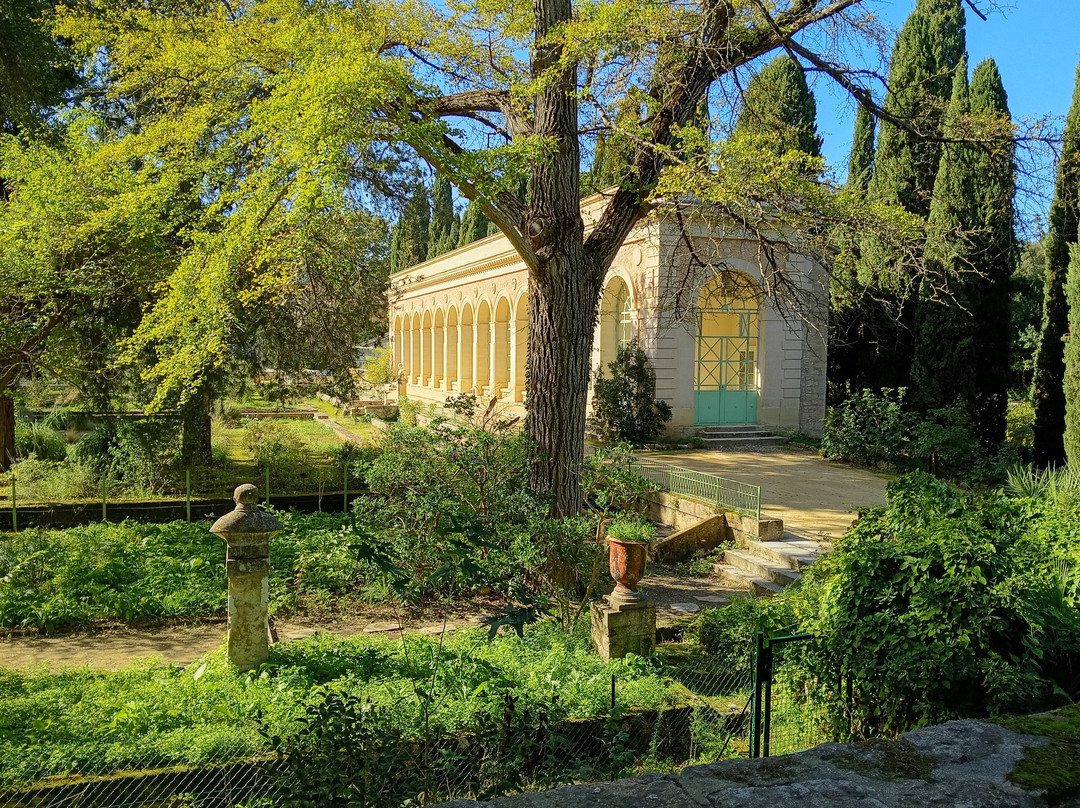 Jardin des Plantes de Montpellier-蒙彼利埃必去景点