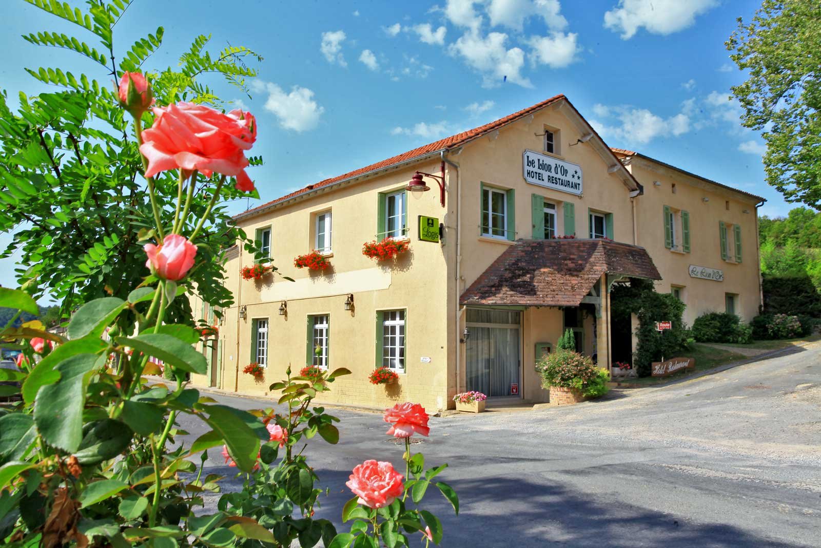 Logis Hôtel le Lion d'Or-官方