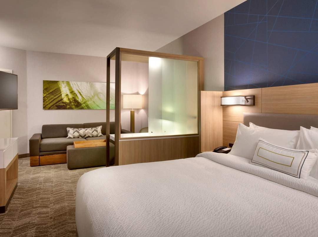 SpringHill Suites Idaho Falls主图