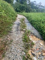 Bukit Lagong-黑风洞必去景点