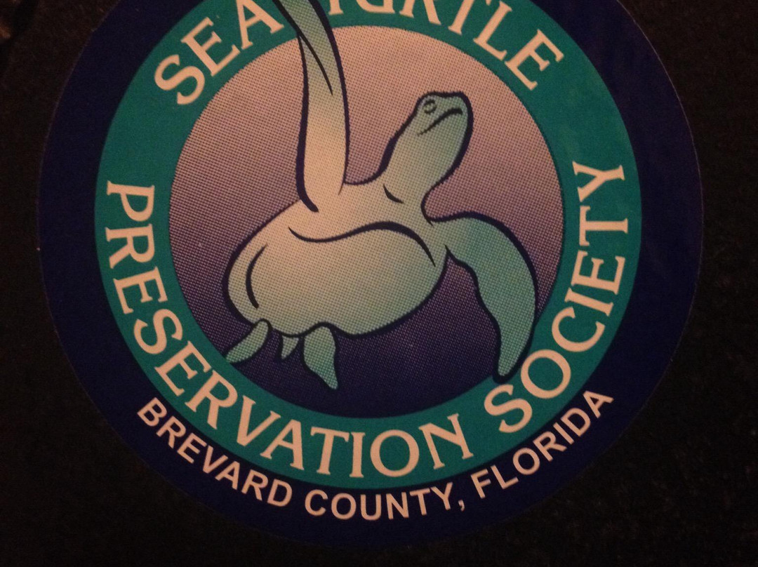 Sea Turtle Preservation Society景点图片