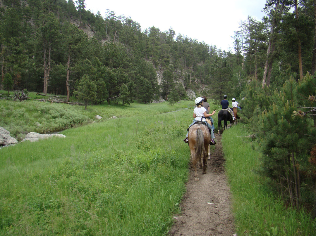Blue Bell Stables-卡斯特必去景点
