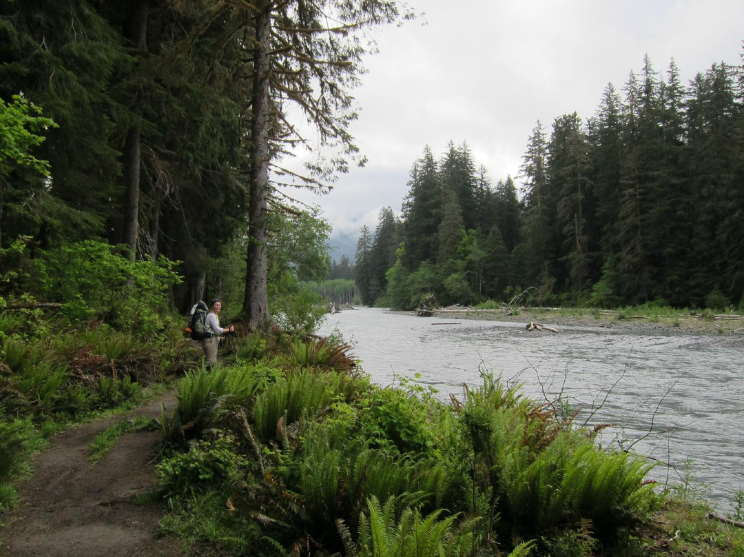 Hoh River景点图片