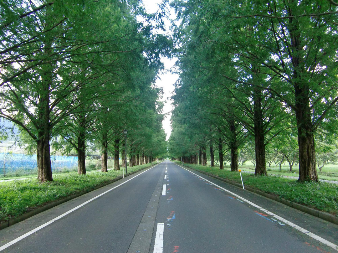Makino Highland