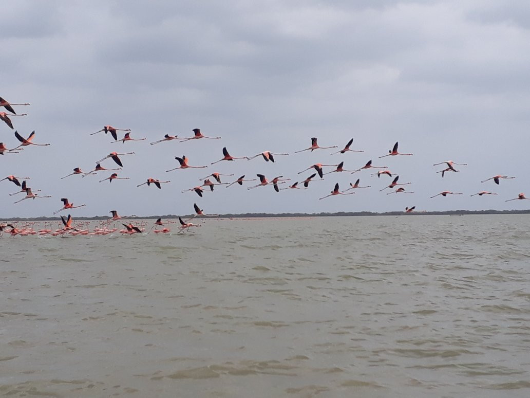 Grupo de Intérpretes Ambientales Wayuu Apushi Ipuana-Camarones必去景点