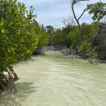 Island Tales-基韦斯特必去景点