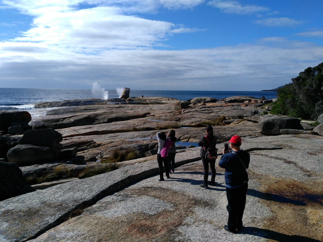 Tasmania I Drive-霍巴特必去景点