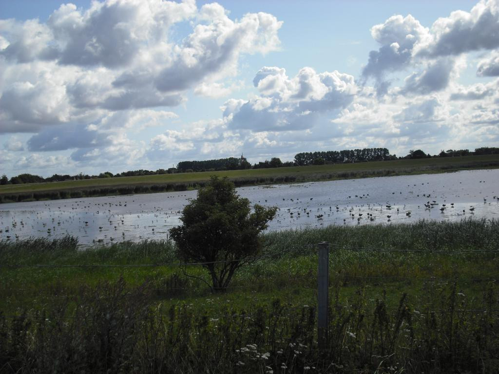 Elbfähre Glückstadt-Wischhafen景点图片