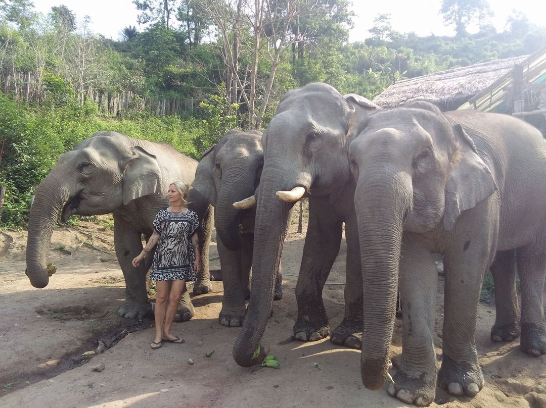 Elephant Steps Chiang Rai-清莱必去景点