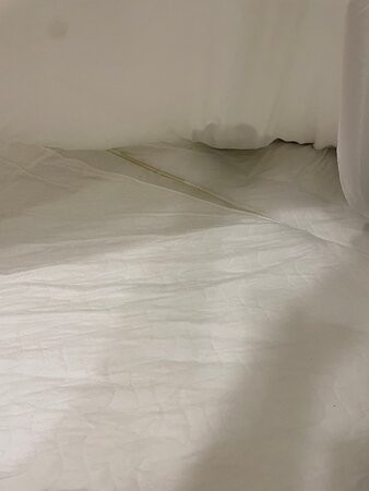 Nevskiye Zvezdy主图