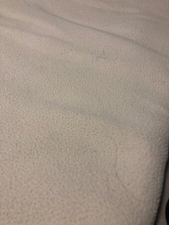 Motel Invitation Inn主图