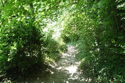 Tombe rupestri di San Liberatore景点图片