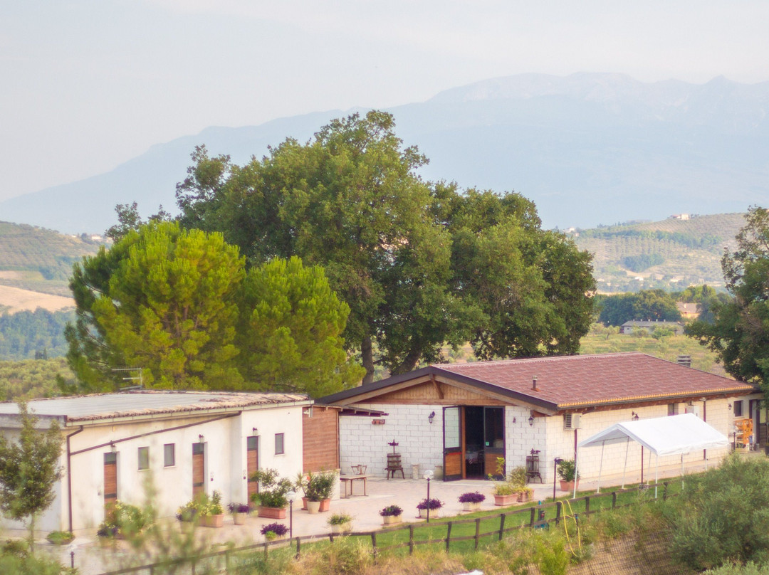 Agriturismo Collecera