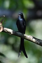 Garva Agro Tourism主图