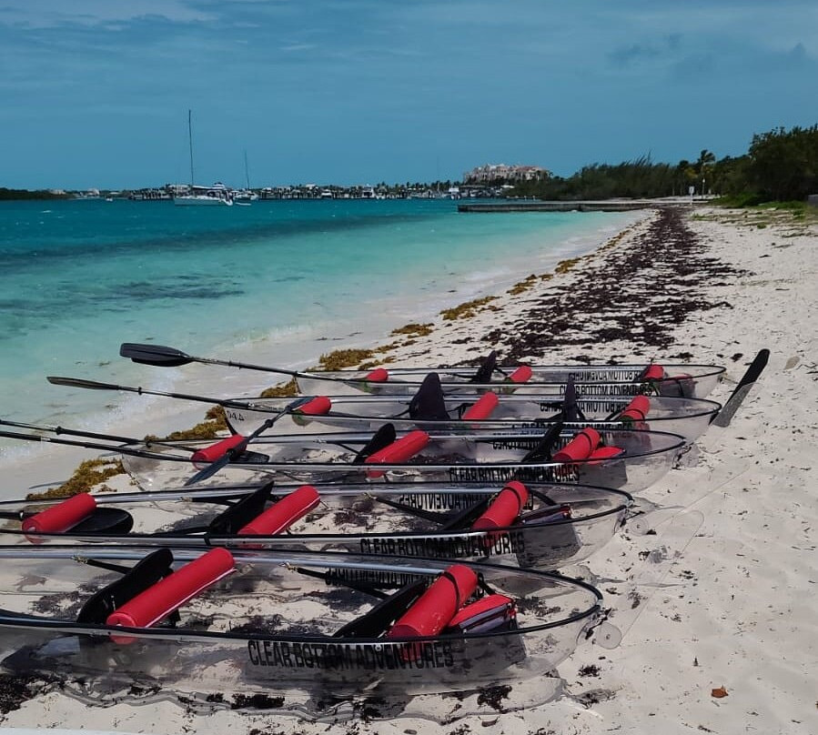 Clear Bottom Adventures-普罗维登西亚莱斯必去景点