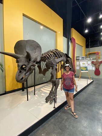 Great Plains Dinosaur Museum-Malta必去景点