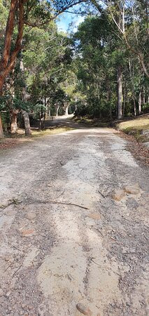 Myrtle Gully Aka Oates Falls景点图片