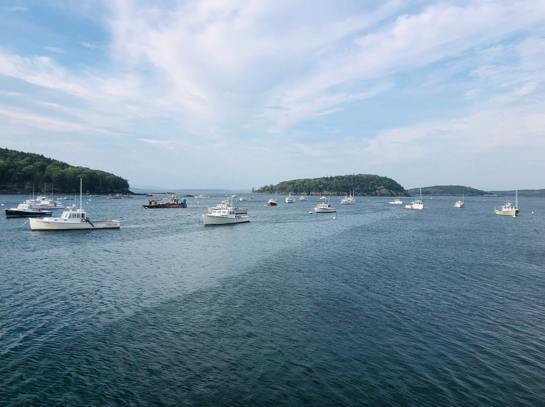 Bar Harbor Town Pier-巴港必去景点